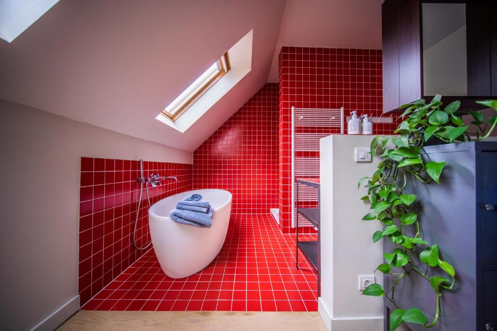 Casa Mina - Dok Noord Ghent photo 2