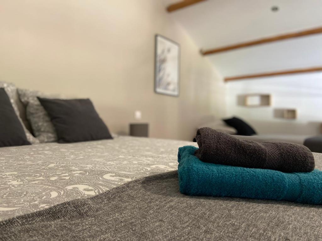 « La Crécerelle » spacieux gîte contemporain entre Tarn et Aveyron photo 4