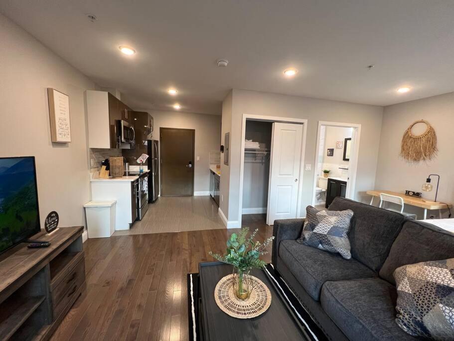 303 Cozy and modern 1BR apartment in center City photo 1