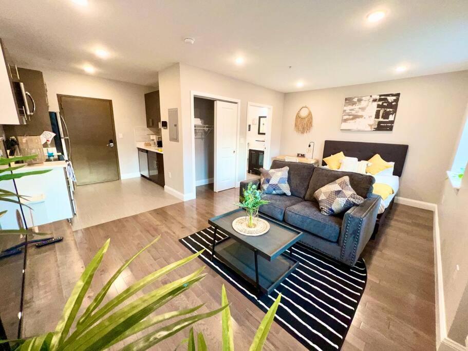 303 Cozy and modern 1BR apartment in center City photo 3