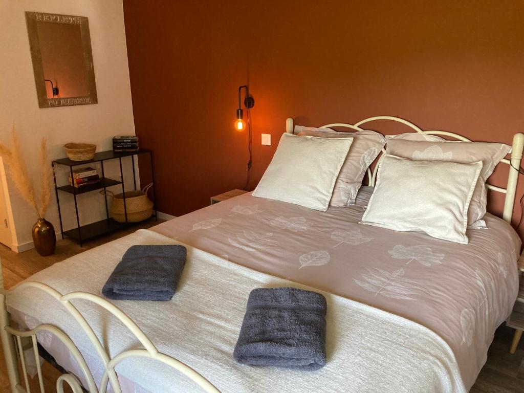 « La Crécerelle » spacieux gîte contemporain entre Tarn et Aveyron photo 3
