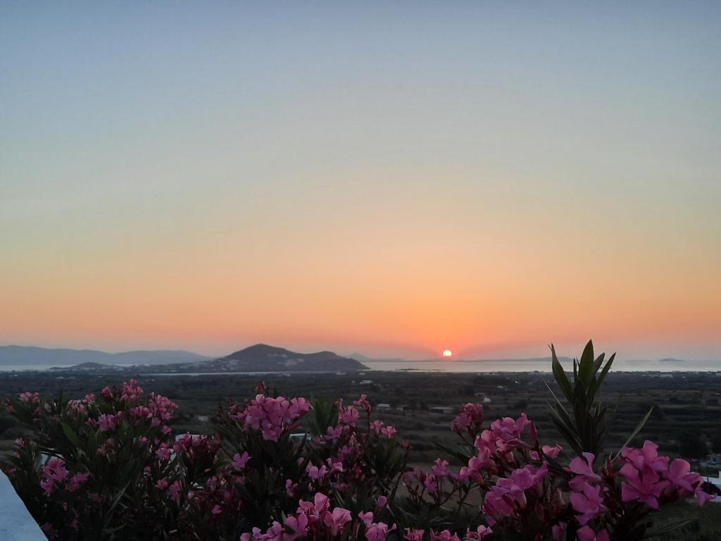 Vista Mare