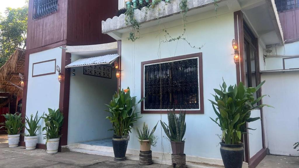 Lotus Blanc Homestay photo 1