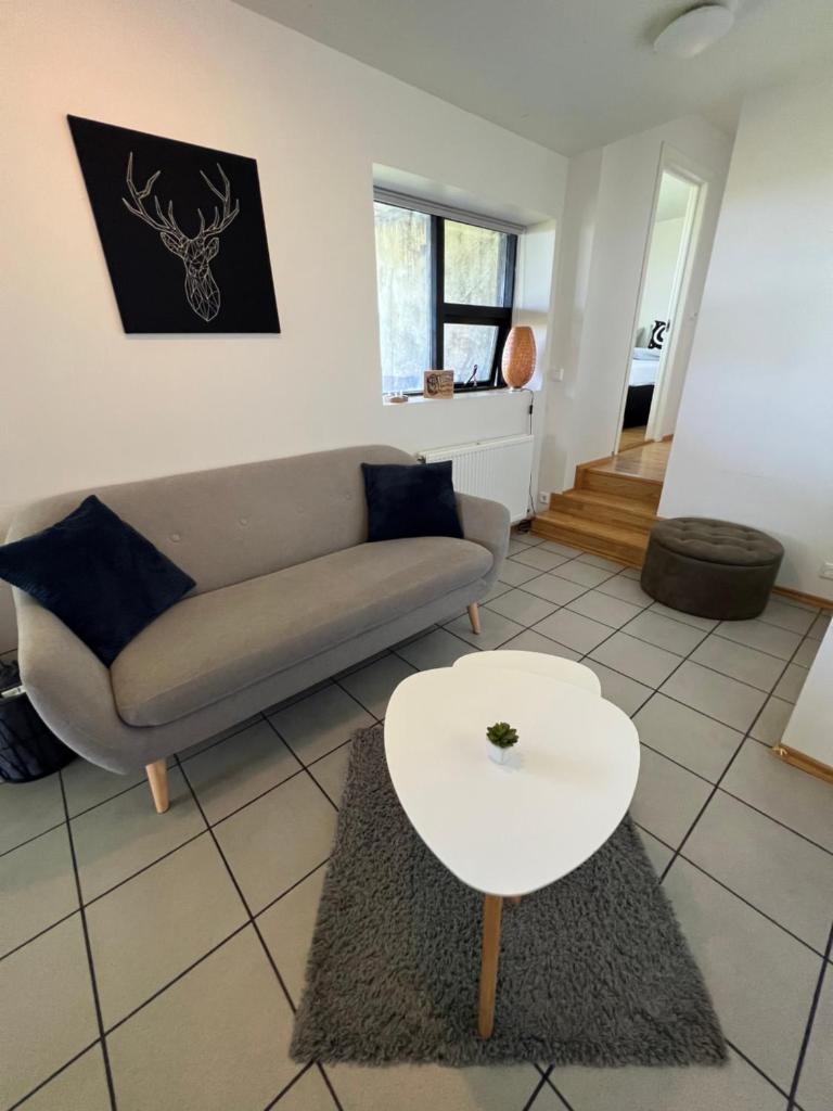 Apartment - Fíflholt