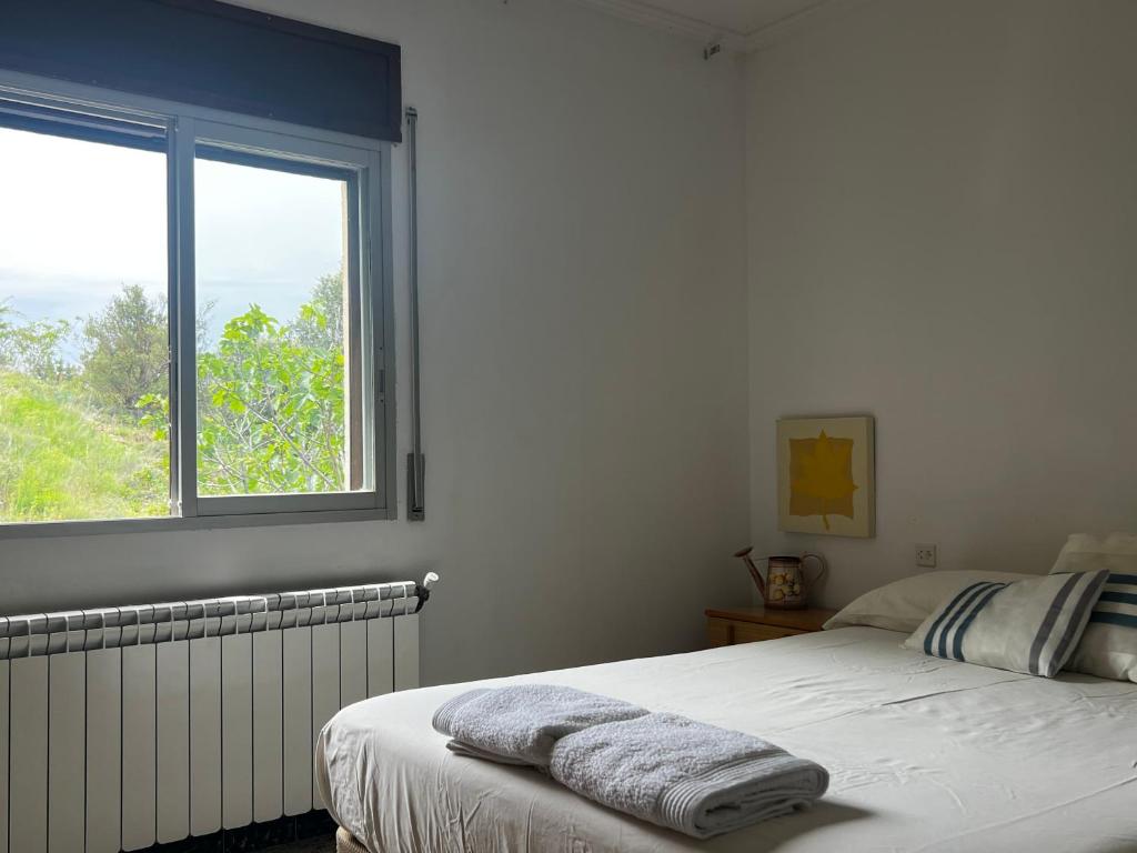 Apartaments La Pertusa 2o photo 3