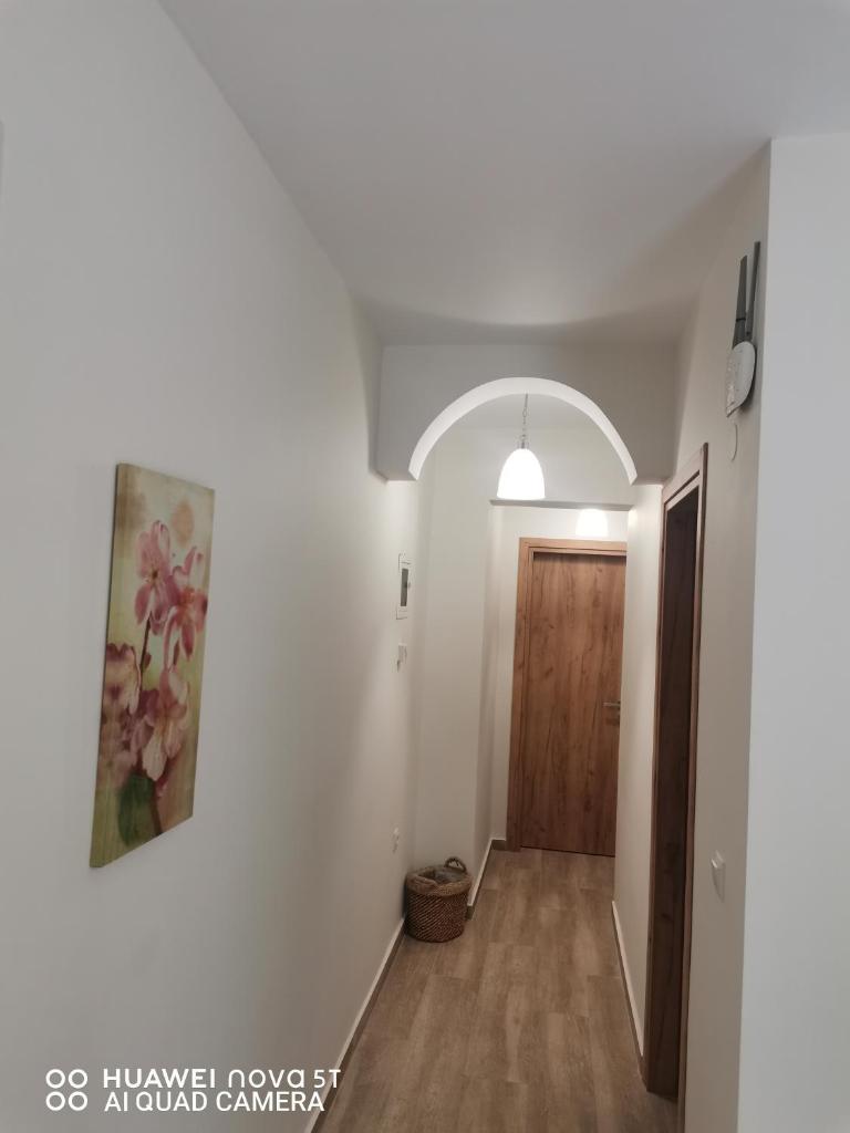 Nely's Luxury Home photo 3