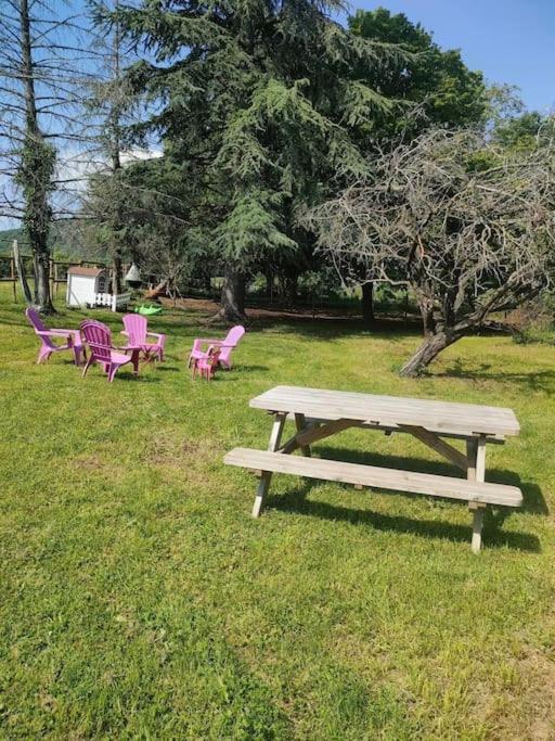 Gîte au calme dans le Parc du Livradois-Forez photo 1
