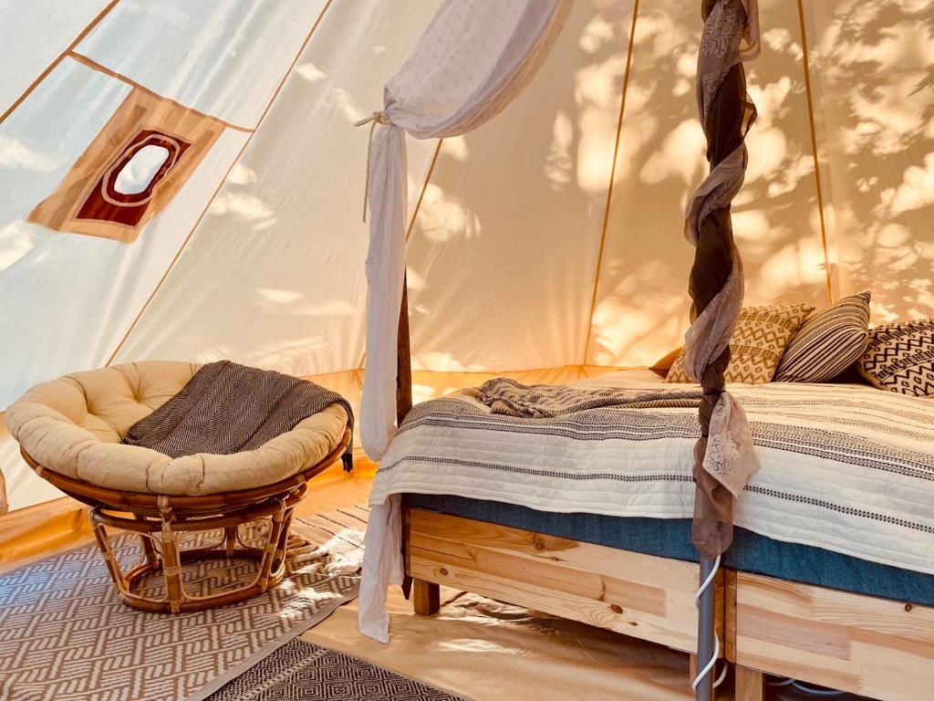 koh tenta a b&b in a luxury glamping style photo 1