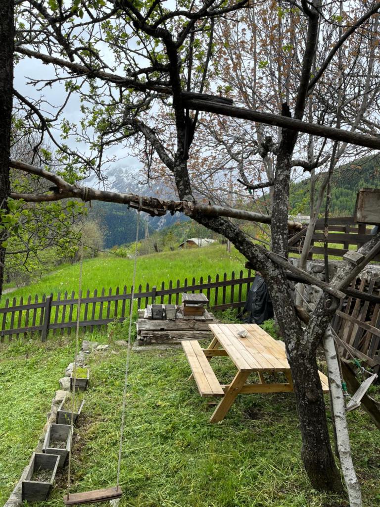En pleine nature avec jardin photo 1