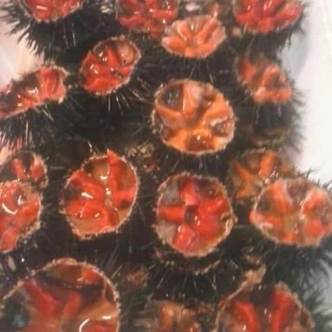 dal pescatore appartamenti photo 1