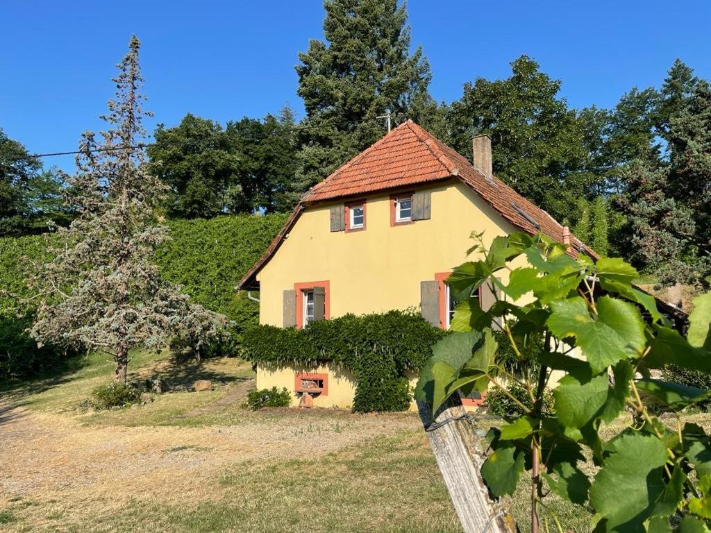 Rebhaus Durbach photo 3