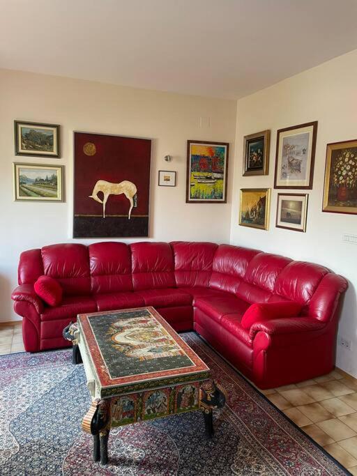 Stella suite photo 2