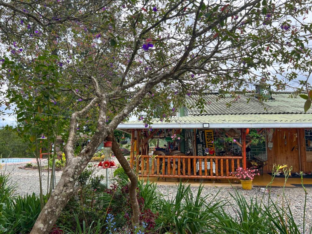 Campground Hostal La Bonanza Chez Kika photo 3