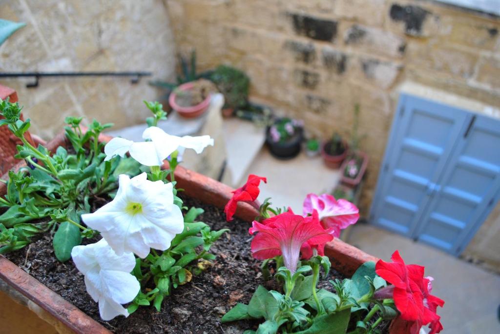 Dar Ghax-Xemx Farmhouse photo 2