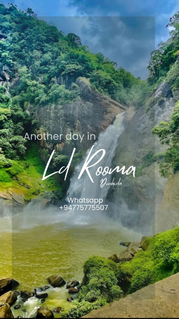 LD RoomA DunhidA