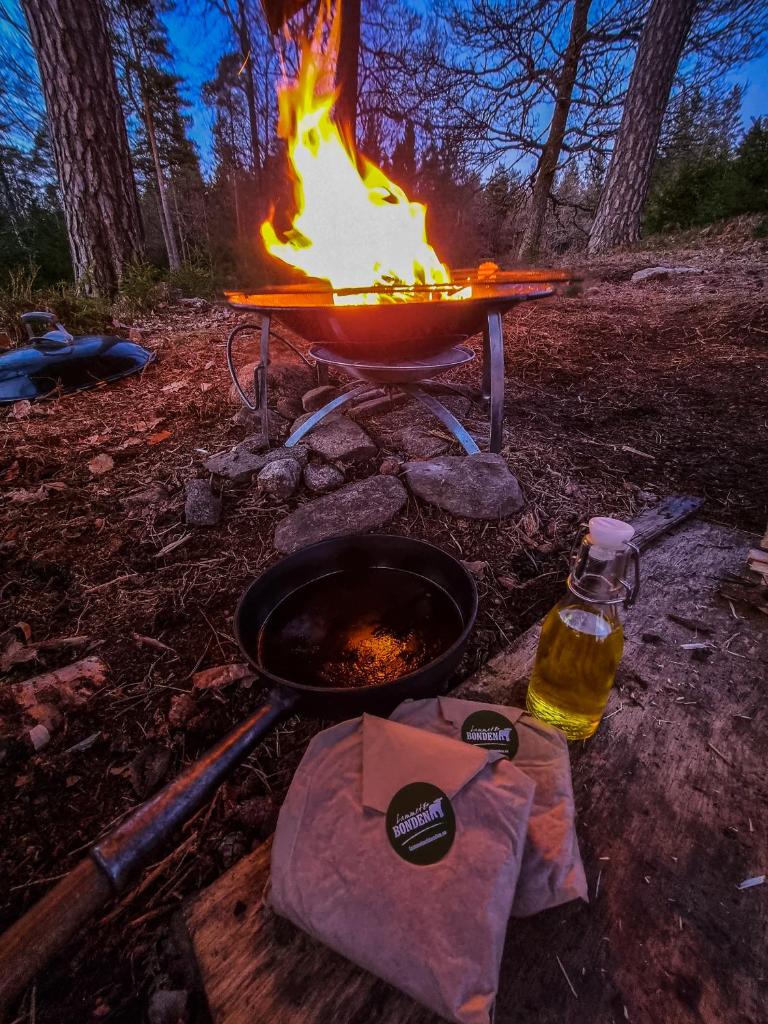 Wildlife camp In a Nordic tipi photo 1