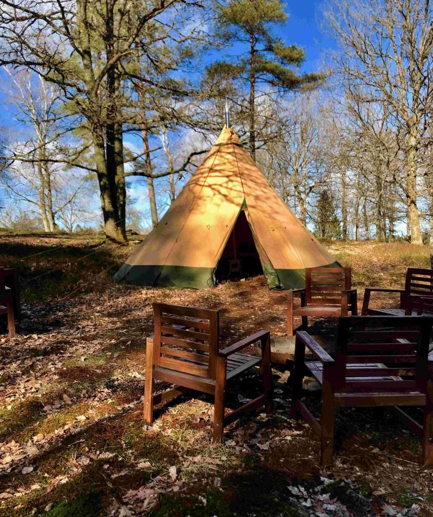 Wildlife camp In a Nordic tipi photo 4
