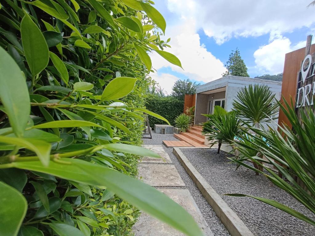 Anita dream house photo 1