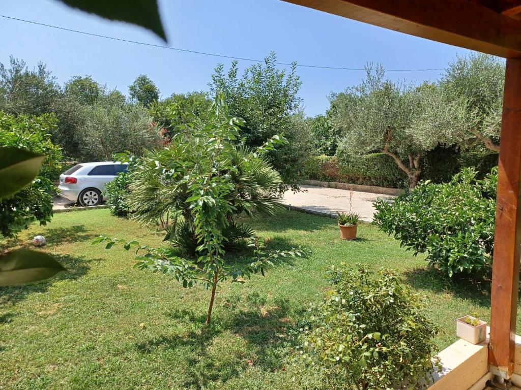 Old Salona photo 1