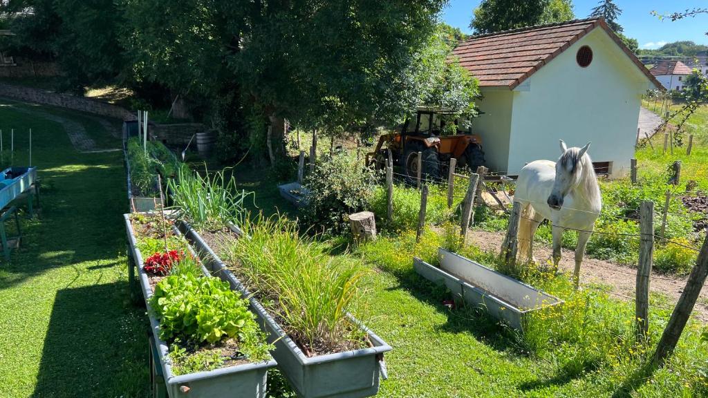 HOTEL RURAL BASQUE IRATI photo 3