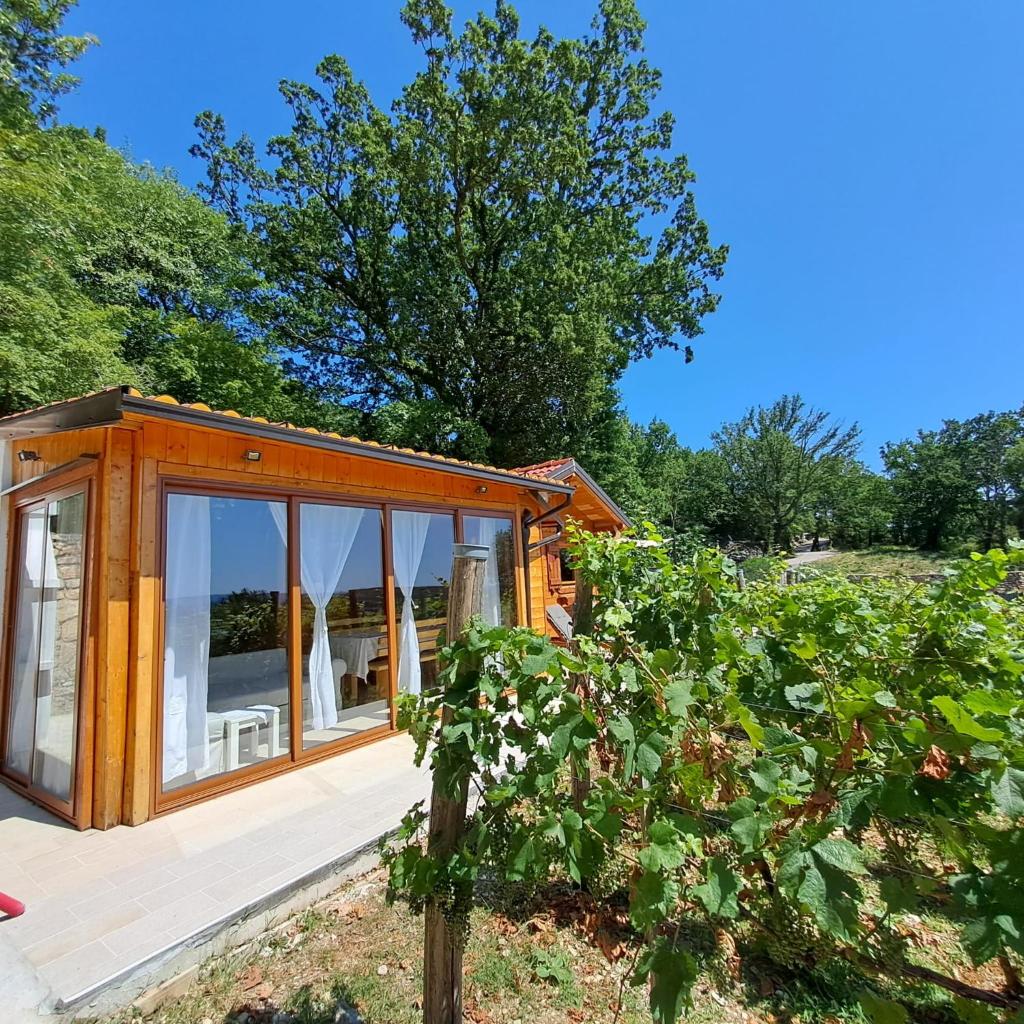 Vineyard house photo 2