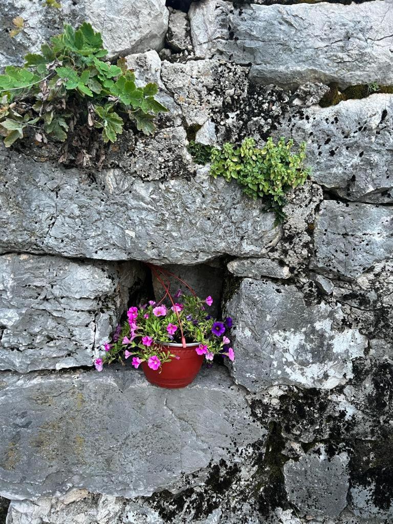 Back to Basics photo 2