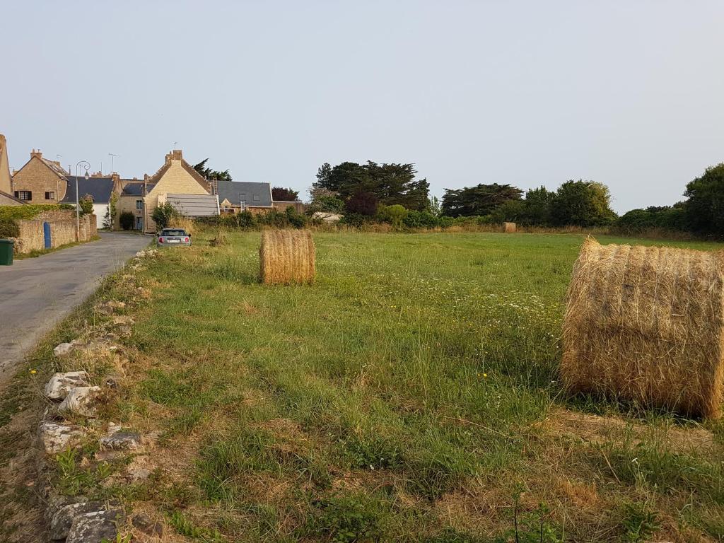 évasion entre mer et marais photo 3