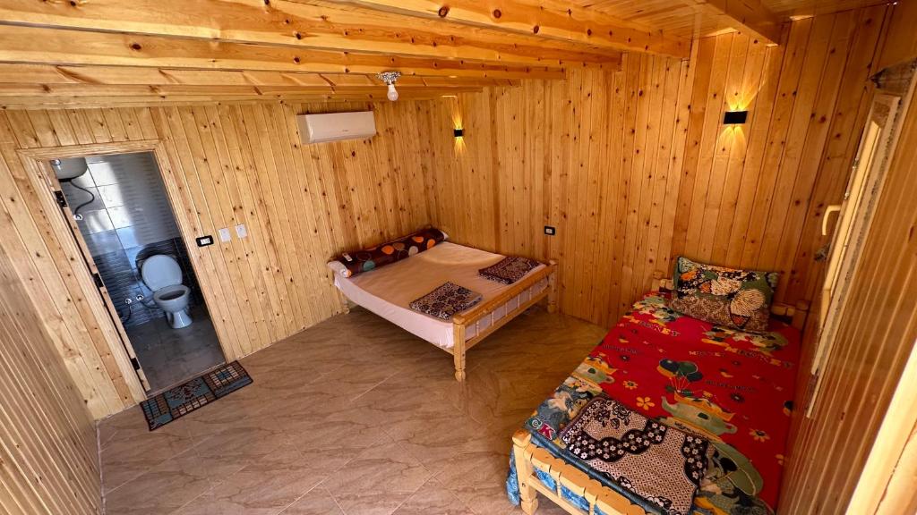 Musa Camp photo 1