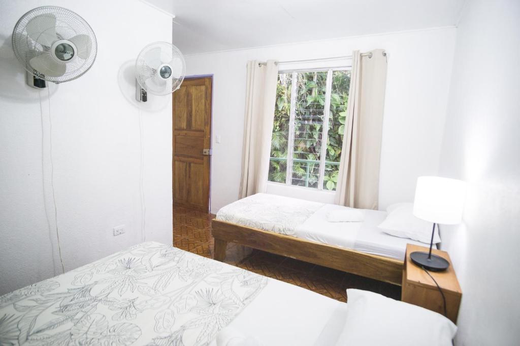 Pura Vibra Hostel photo 3