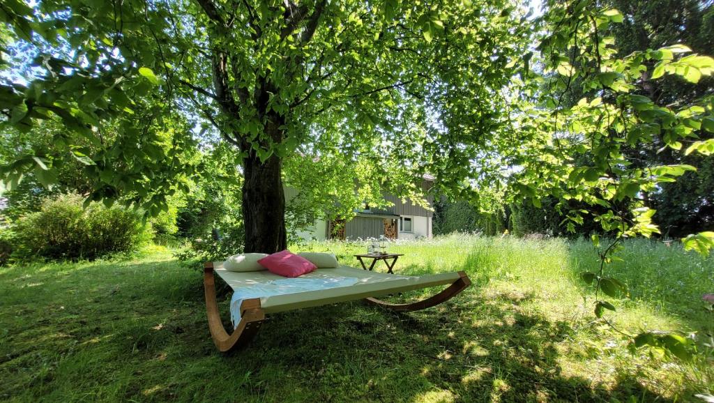 Tegernsee Chalet photo 4