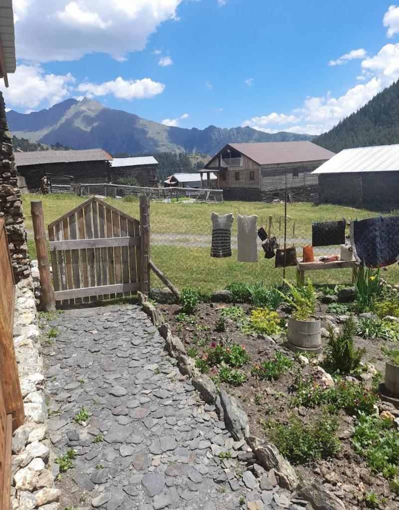 "Dzveli galavani" Tusheti Diklo "ძველი გალავანი" photo 4