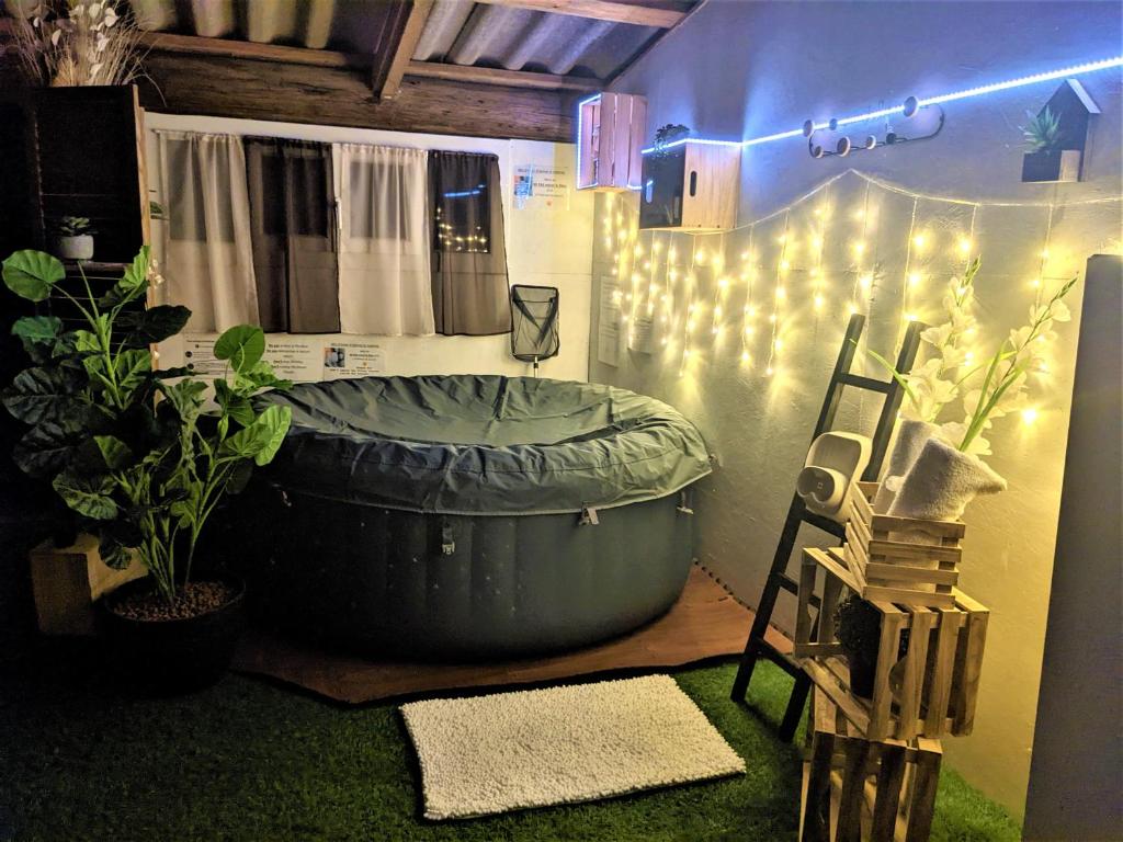 Studio 19 cosy avec jacuzzi et jardinet privatifs photo 1