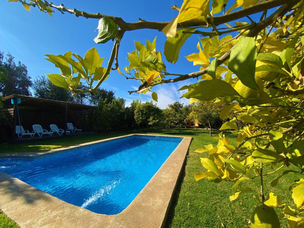 Cabañas SPA Olmue photo 1