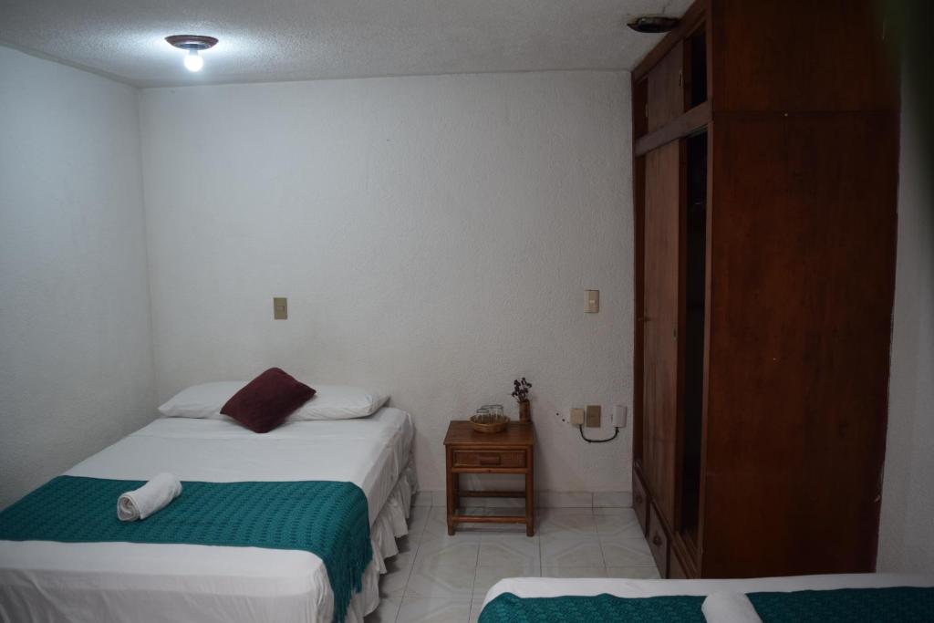 Casa Natura photo 2