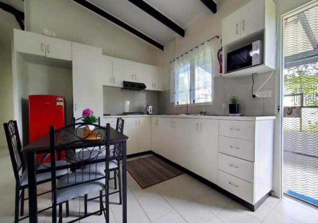 Mohans Apartments photo 4