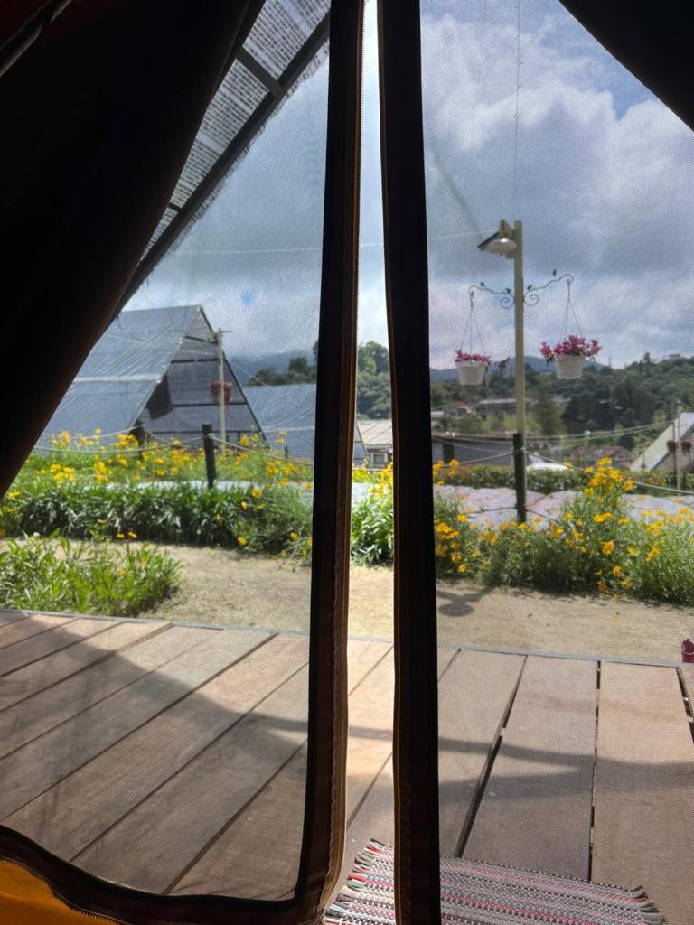 The Backyard Glamping Cameron Highlands photo 1