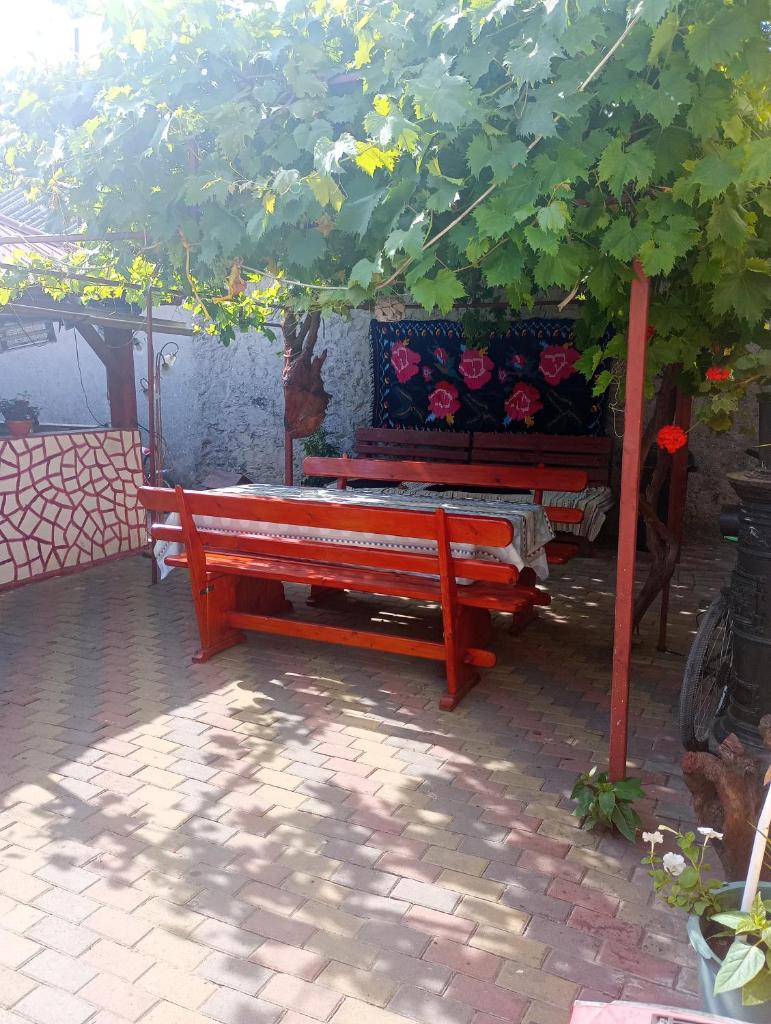 Casa Cristian photo 4