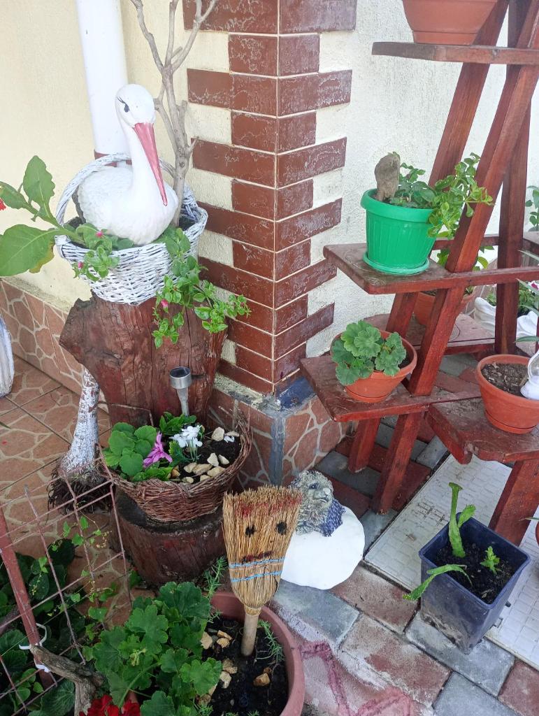 Casa Cristian photo 3