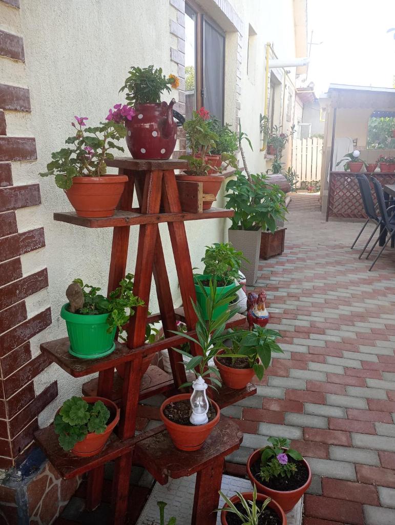 Casa Cristian photo 2
