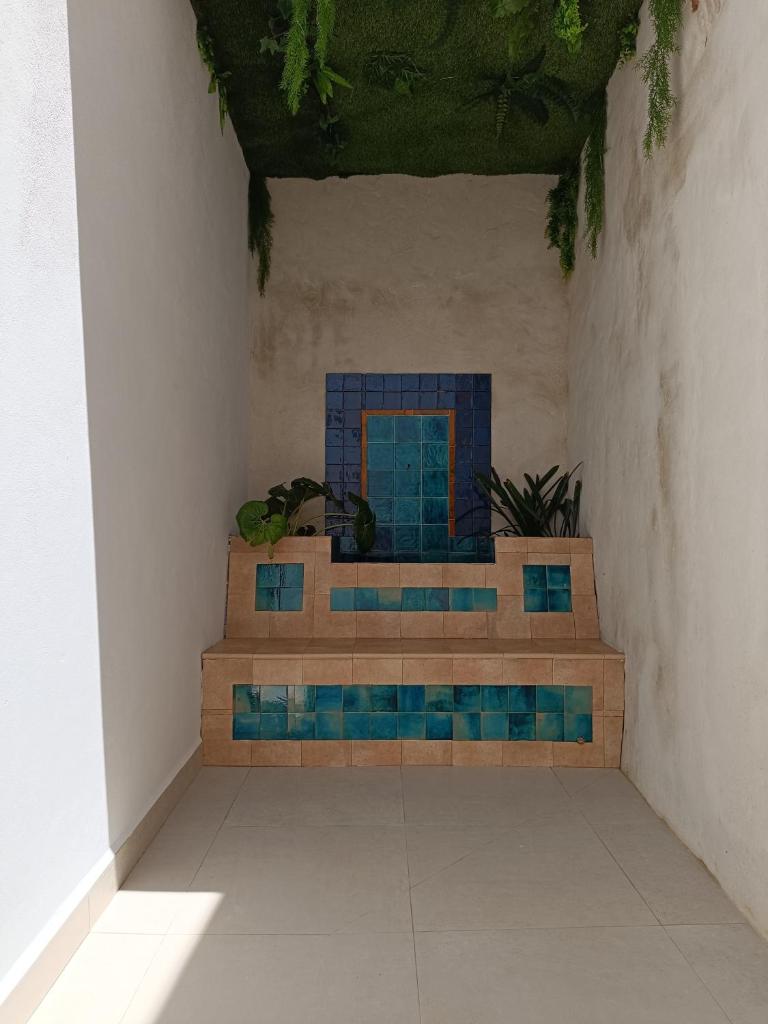 El Tapial photo 4