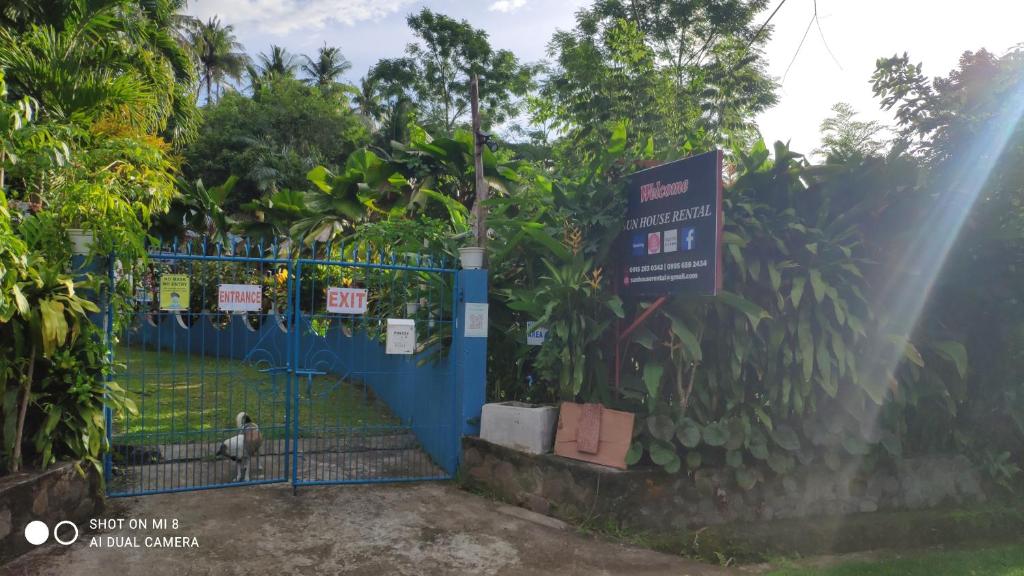 Sun House Rental photo 4