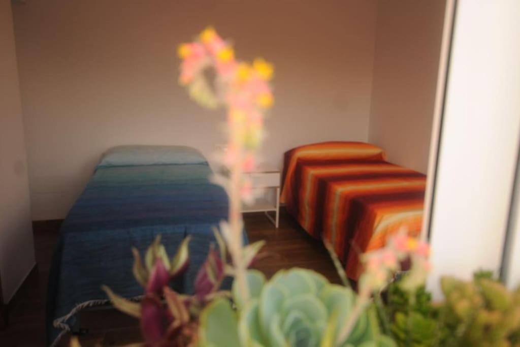Especial familia- hasta 18 pax- Piscina photo 3