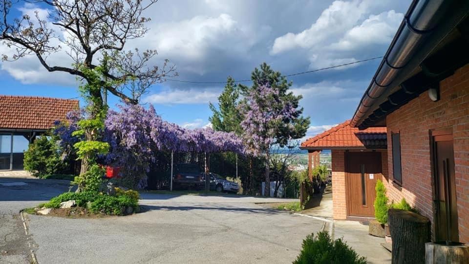 Villa Repić photo 4