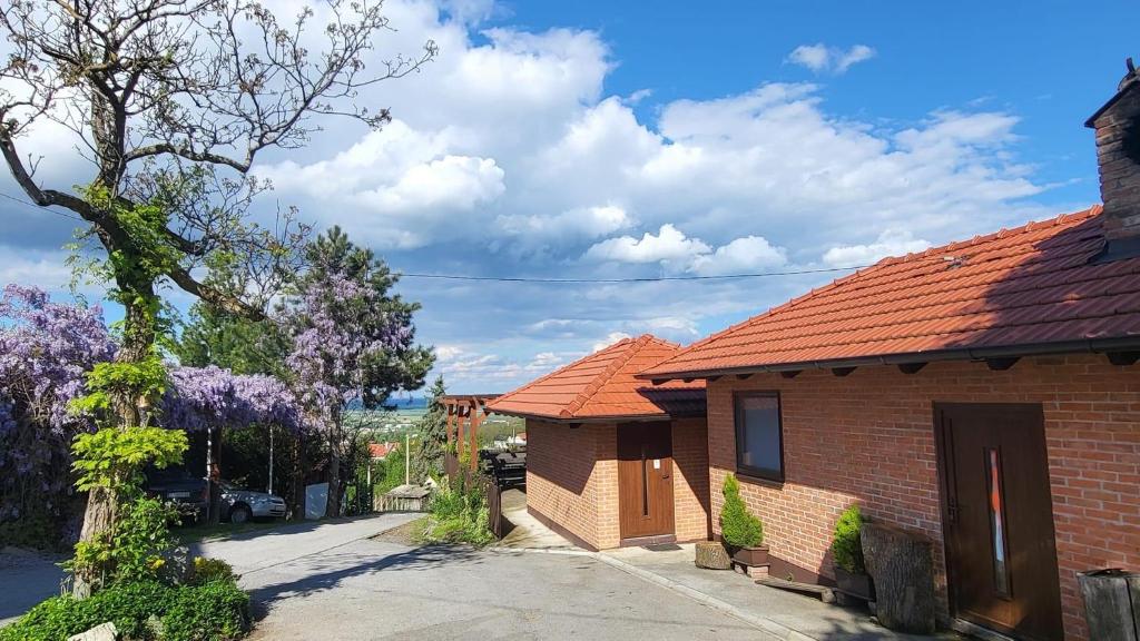 Villa Repić photo 3