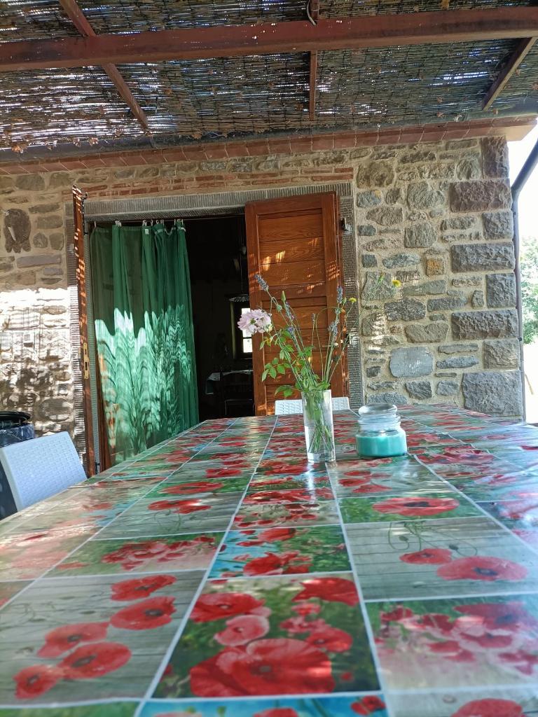 Villa Grazia photo 2