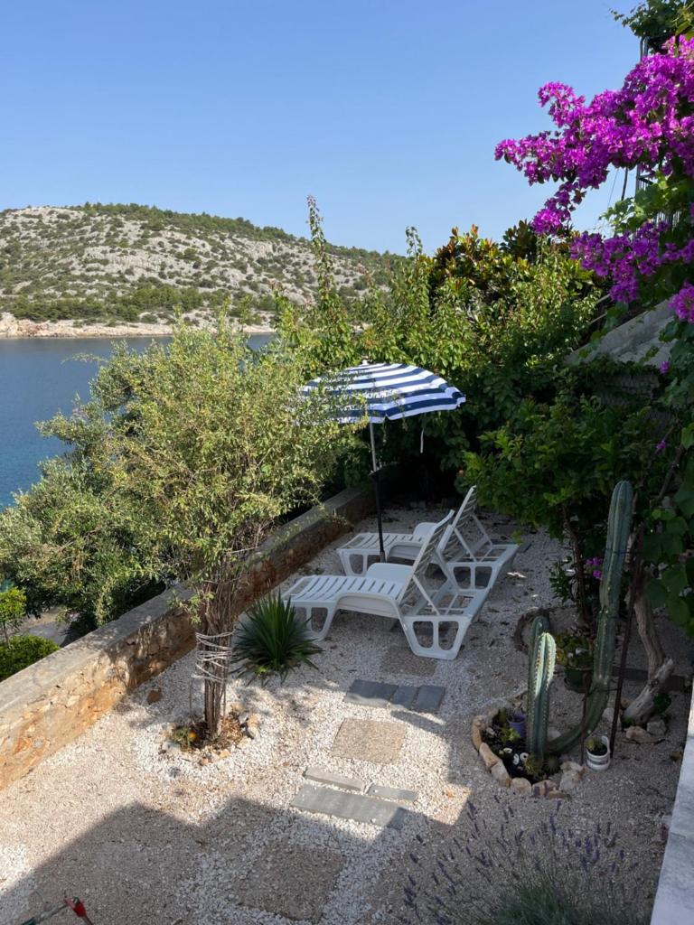 Villa Ana photo 3