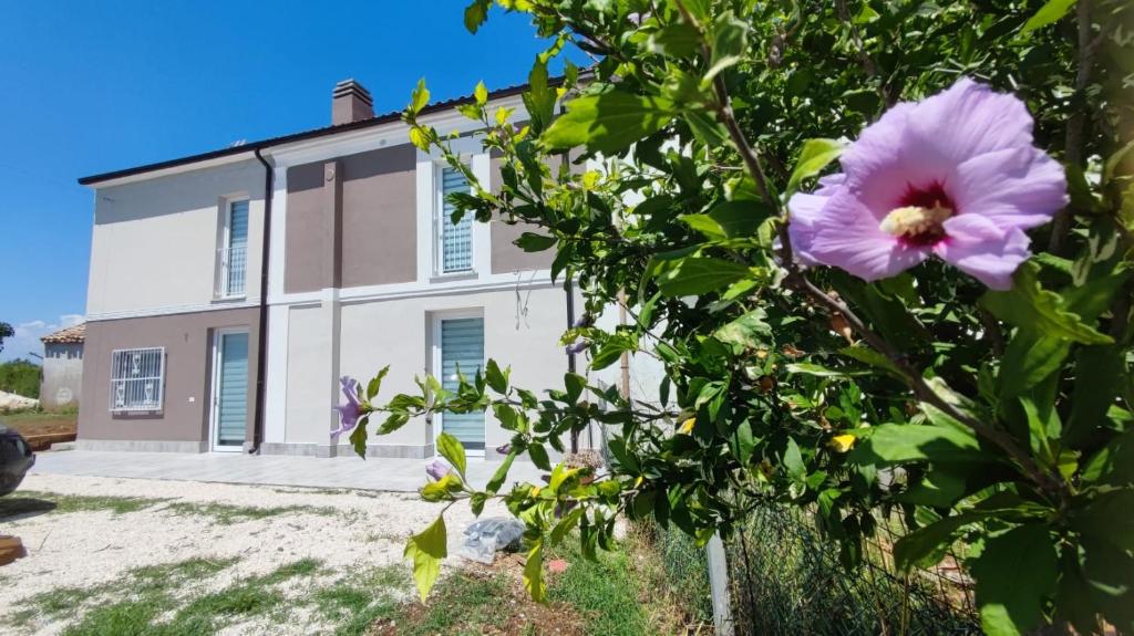 B&B Borgo Sabelli - Costa dei Trabocchi photo 2