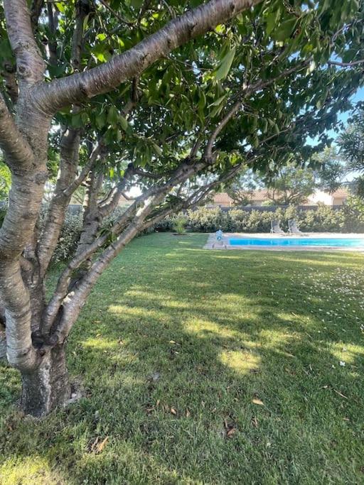 Belle Maison au calme avec piscine photo 3