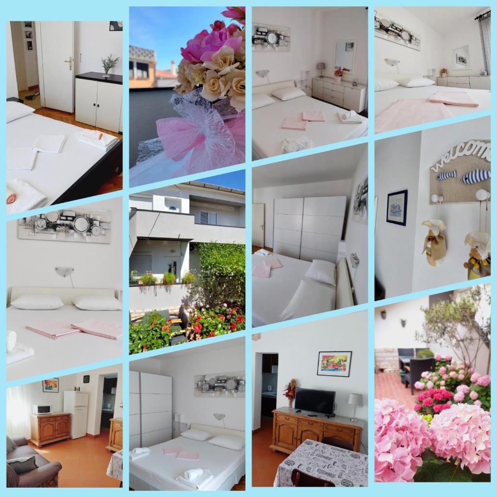 APARTMENT ELI photo 1