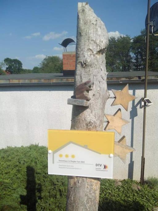 Ferienhaus Mecklenburgische Seenplatte Ruderboot photo 3